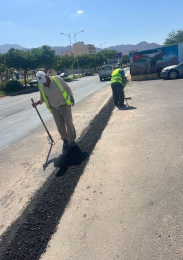 WhatsApp Image 2026-01-26 at 12.28.12 PM