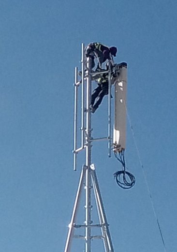 WhatsApp Image 2026-02-02 at 4.30.11 PM (2)