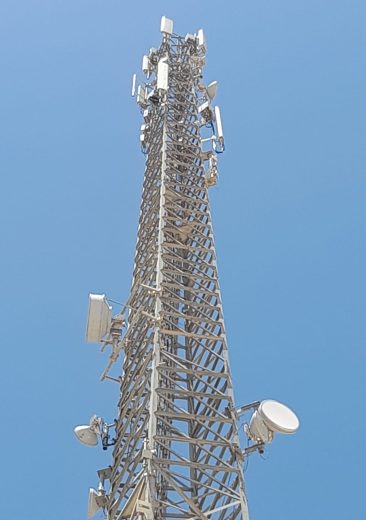 WhatsApp Image 2026-02-09 at 2.36.17 PM